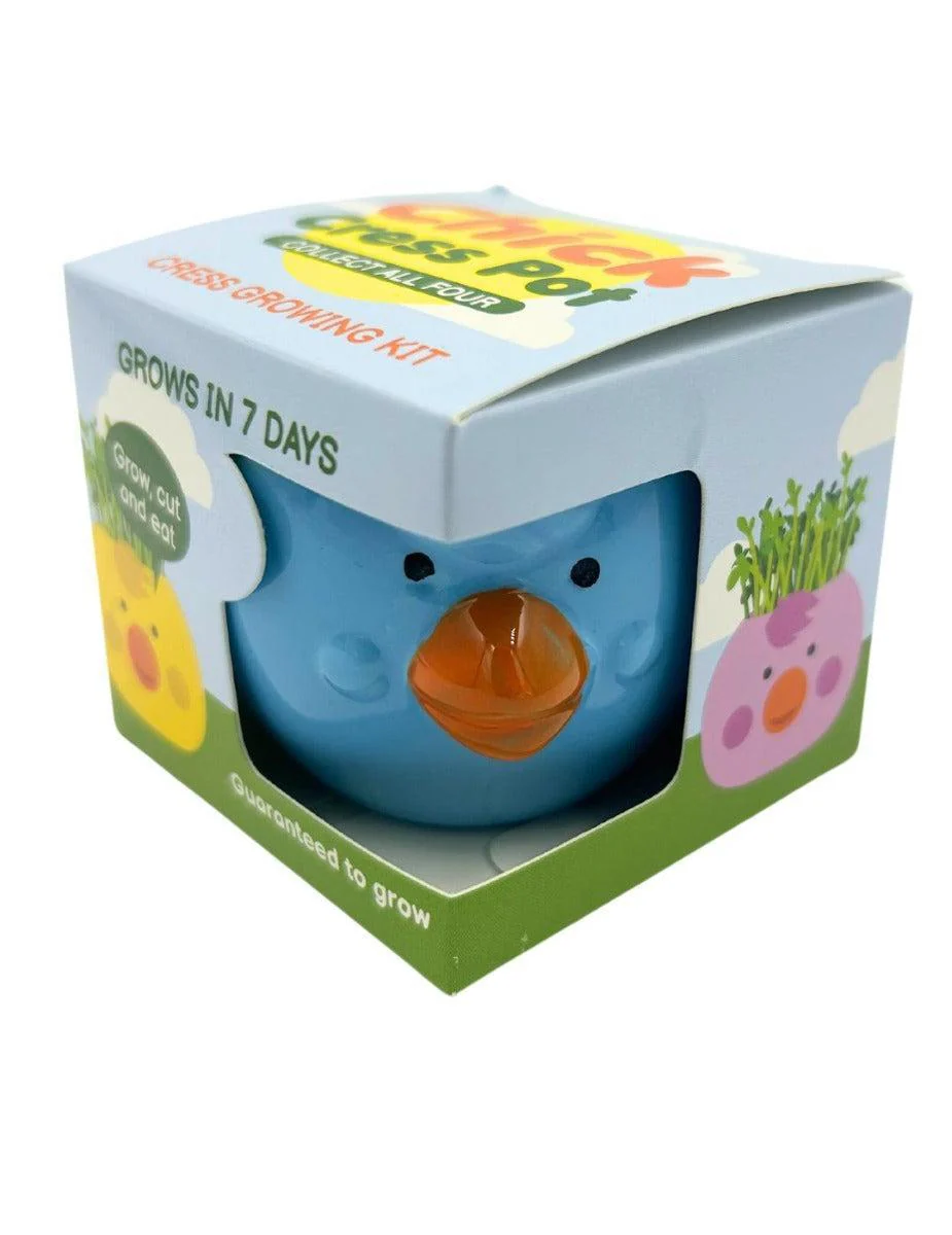 Easter Cress Chick - Assorted Colours - Image 5