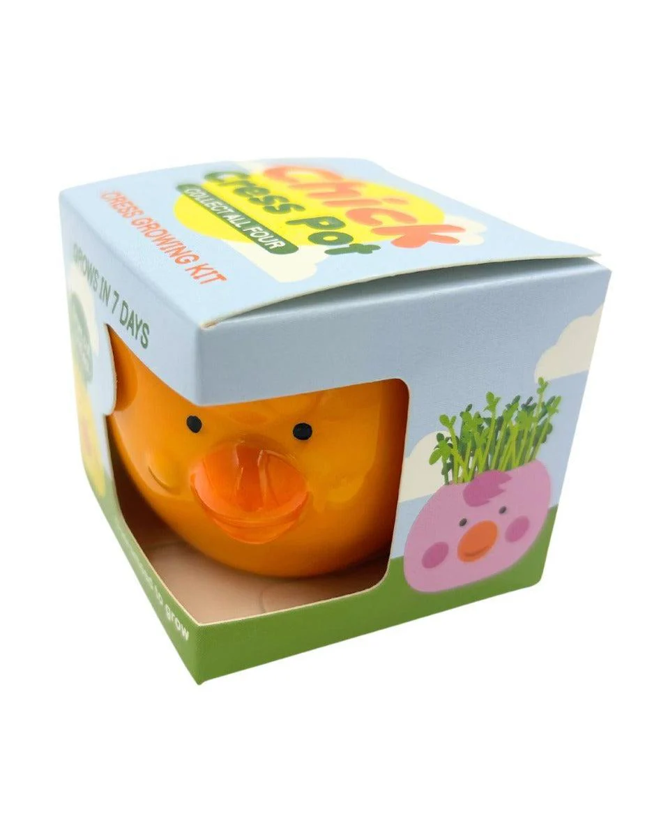 Easter Cress Chick - Assorted Colours - Image 6