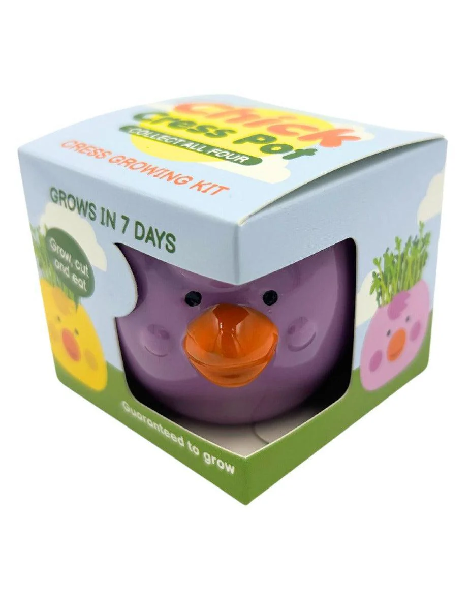 Easter Cress Chick - Assorted Colours - Image 7