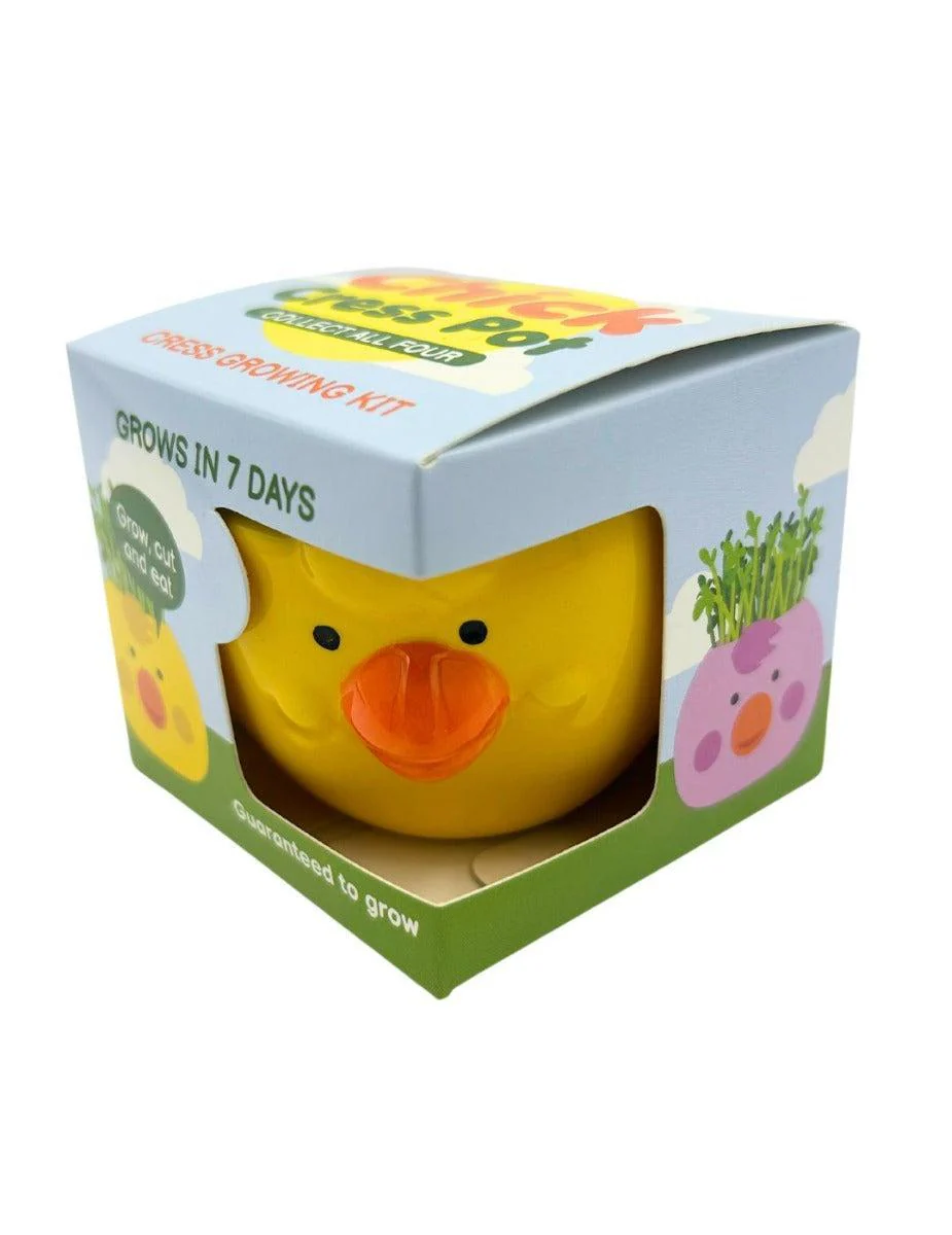 Easter Cress Chick - Assorted Colours - Image 8