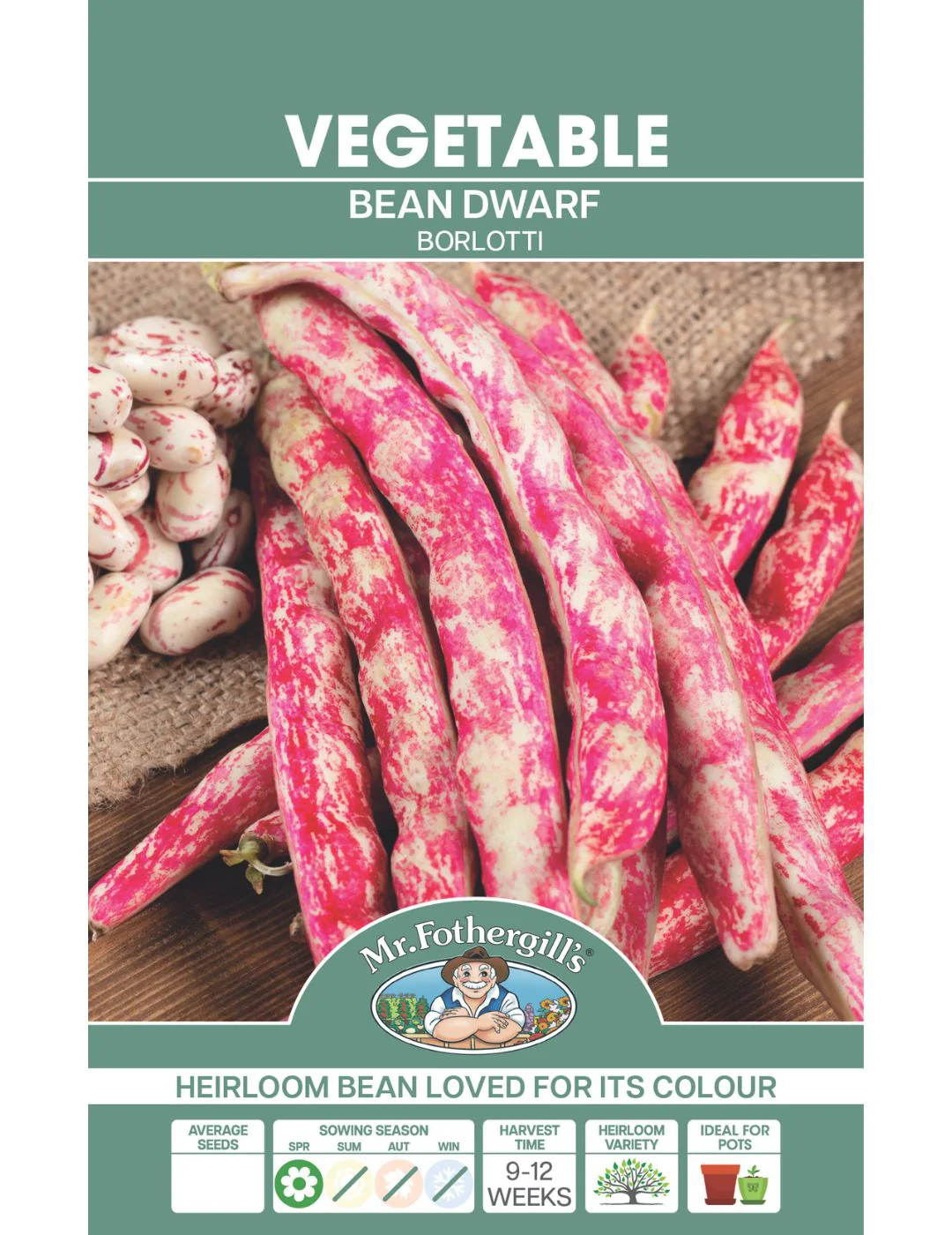 Bean, Dwarf Borlotti - Image 2