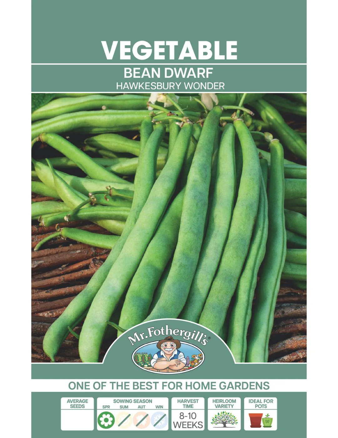 Dwarf Bean Hawkesbury Wonder - Image 2