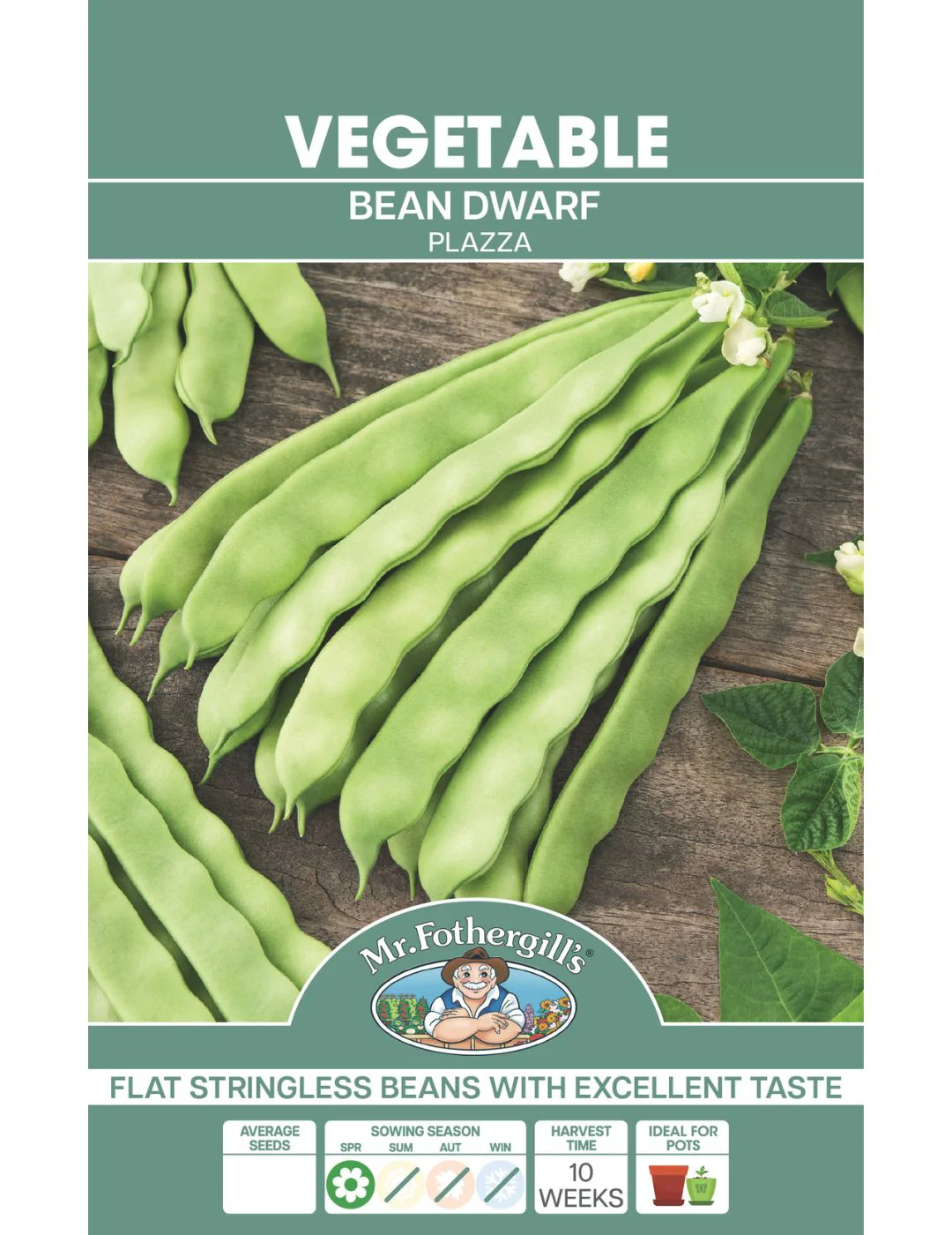 Bean, Dwarf Plazza - Image 2
