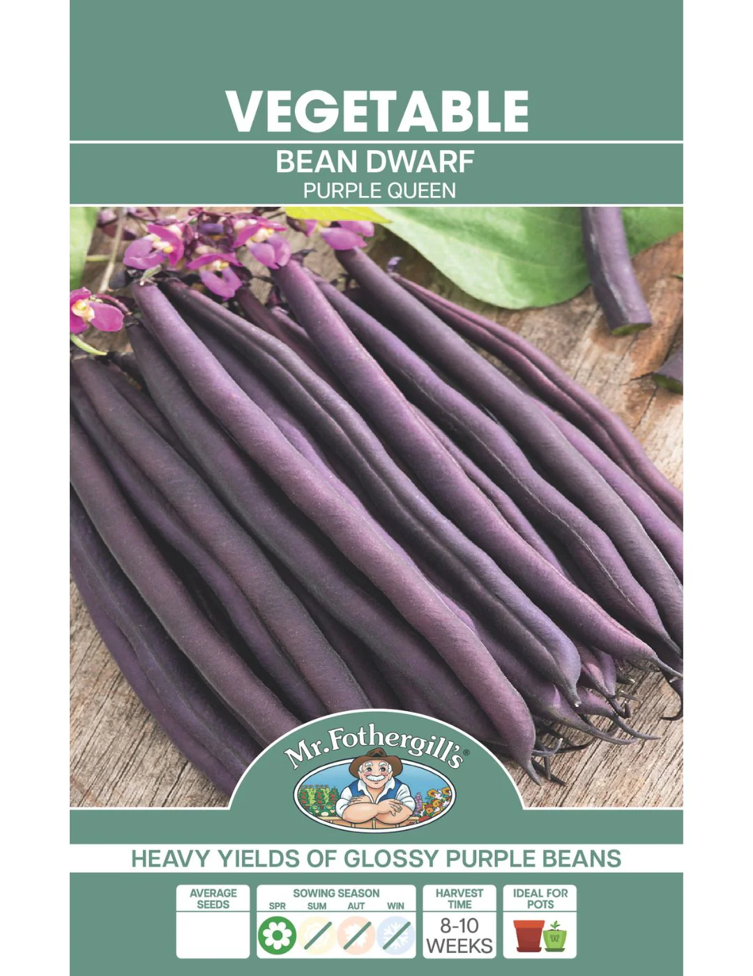 Bean, Dwarf Purple Queen - Image 2