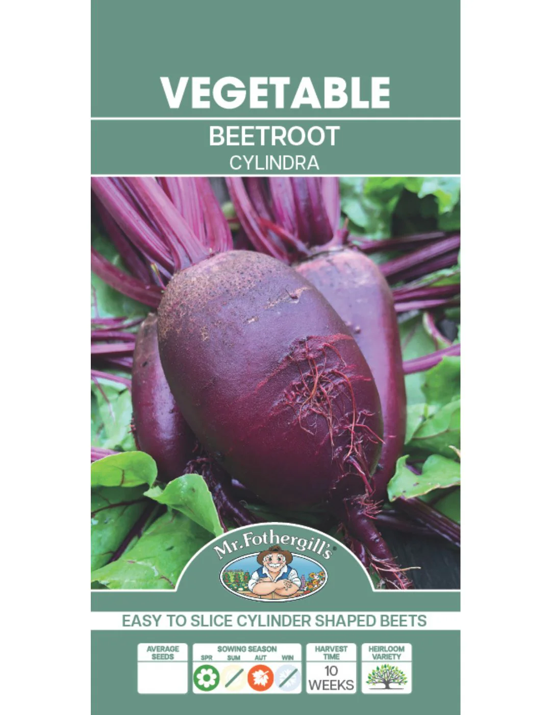 Beetroot Cylindra - Image 2