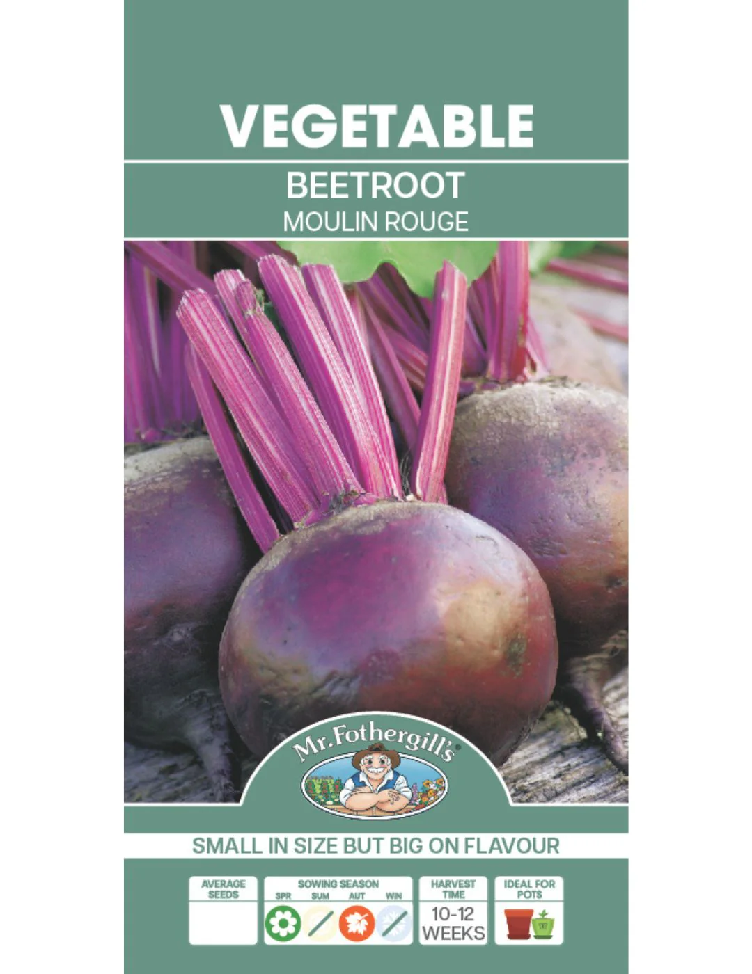 Beetroot Moulin Rouge - Image 2
