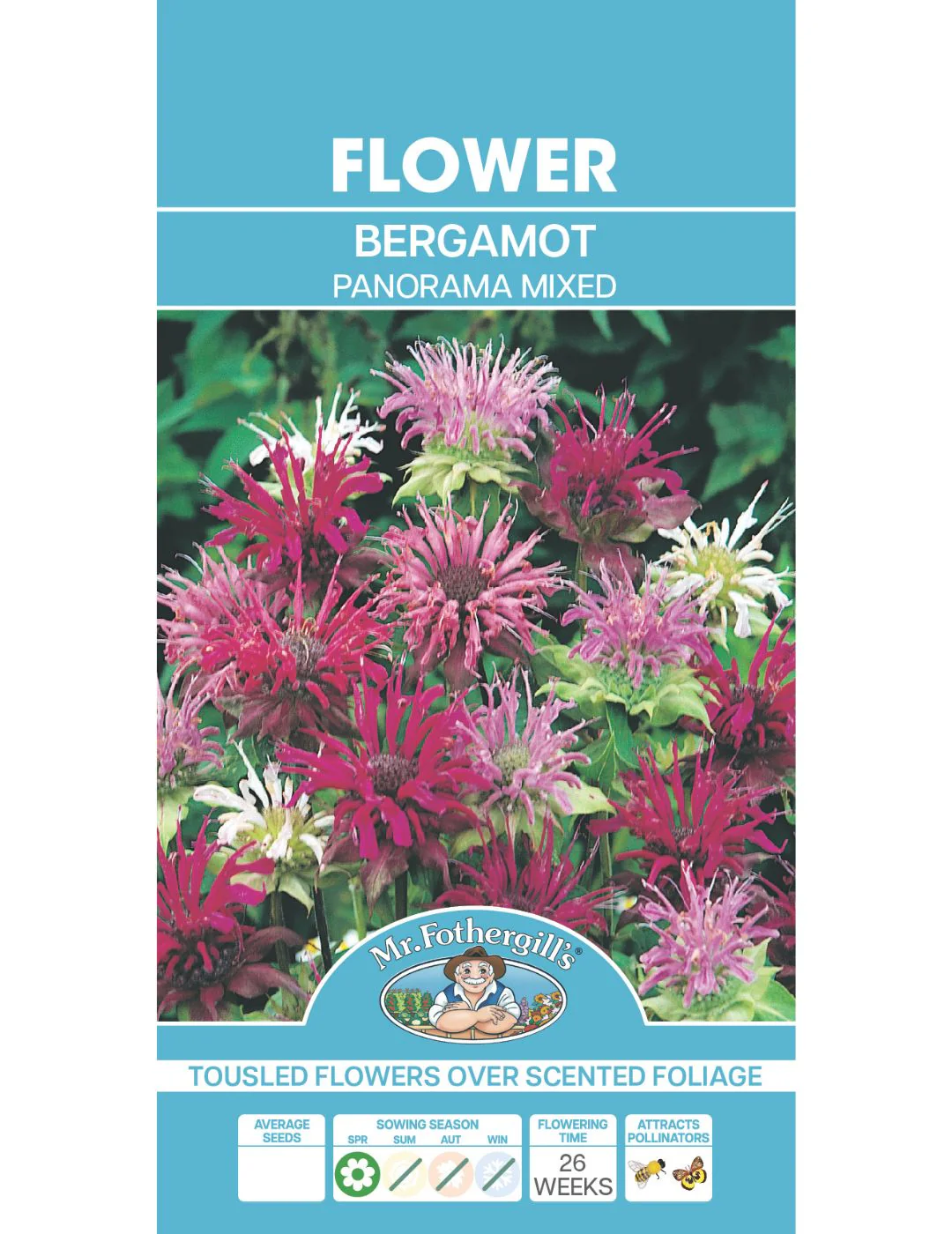 Panorama Bergamot Seeds - Image 2
