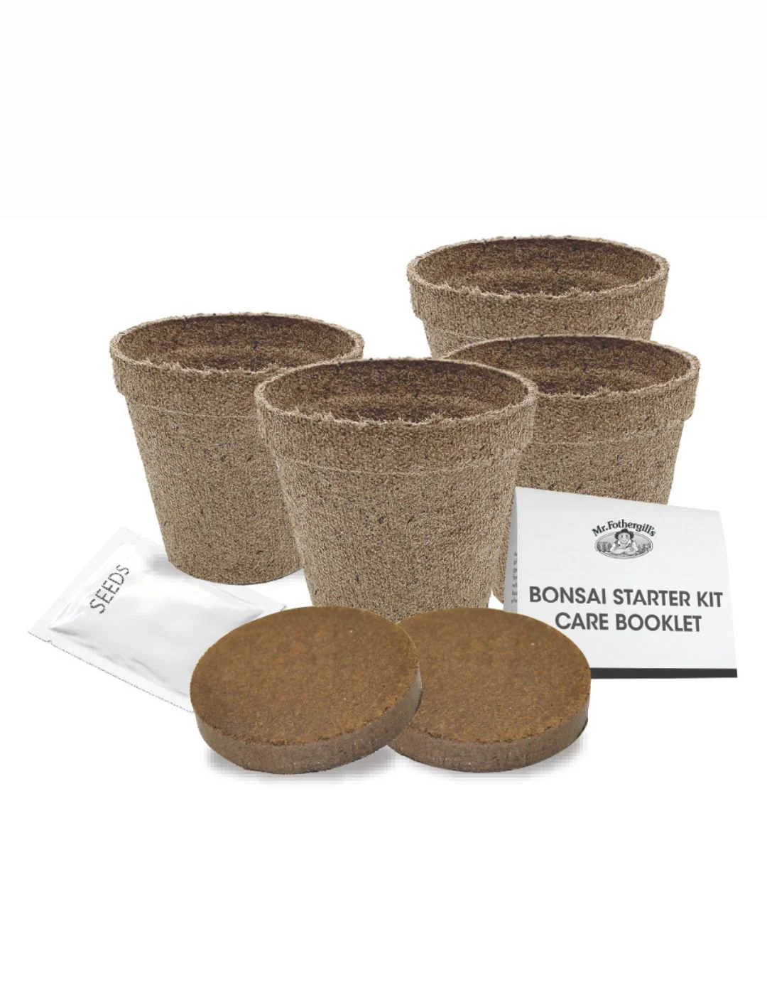 Bonsai Starter Kit - She Oak - Image 2