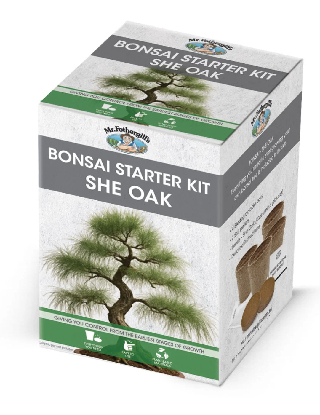 Bonsai Starter Kit - She Oak