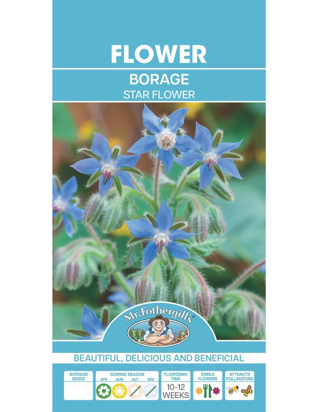 Borage - Image 2
