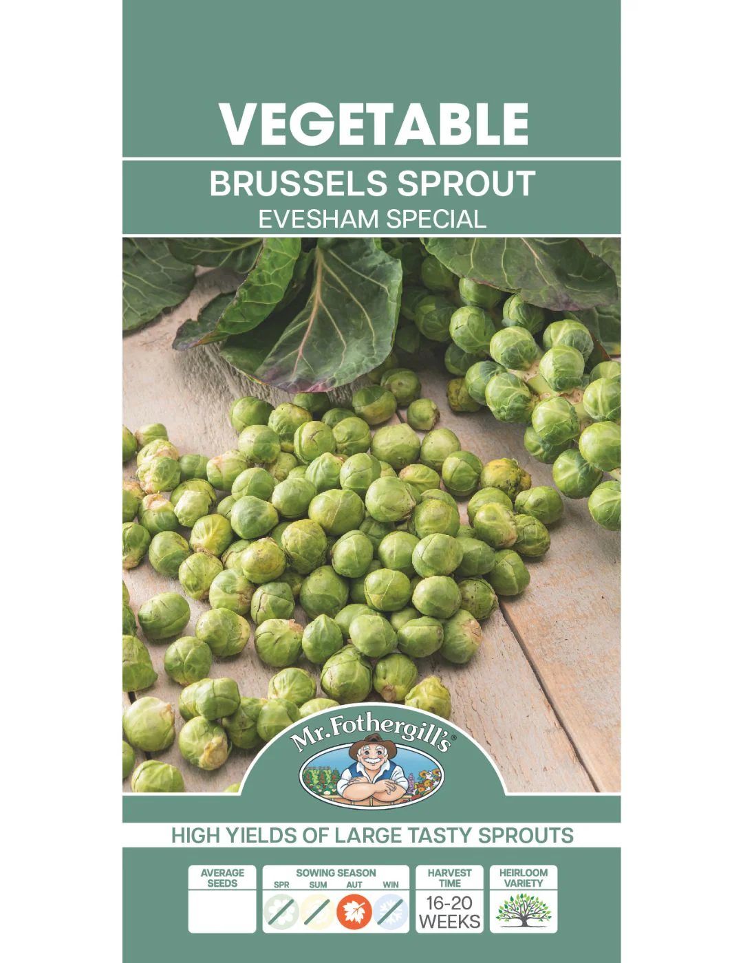 Brussels Sprout Evesham Special - Image 2
