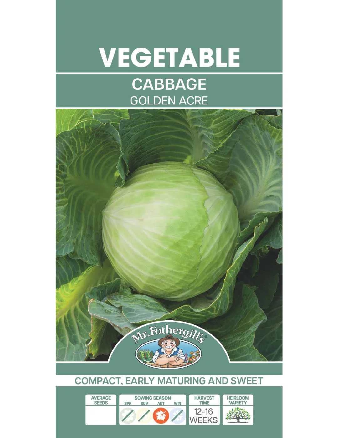 Cabbage Golden Acre - Image 2