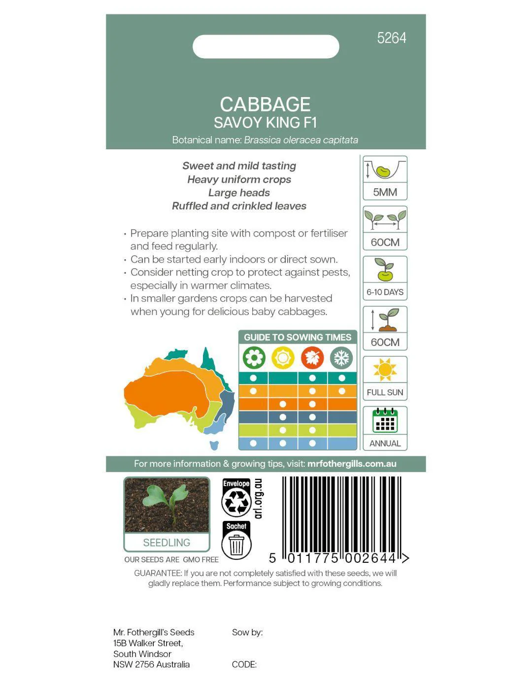 Savoy King F1 Cabbage Seeds - Image 3