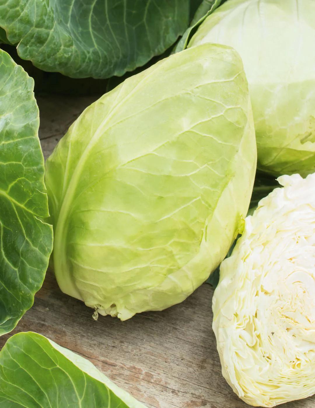 Sugarloaf Cabbage Seeds