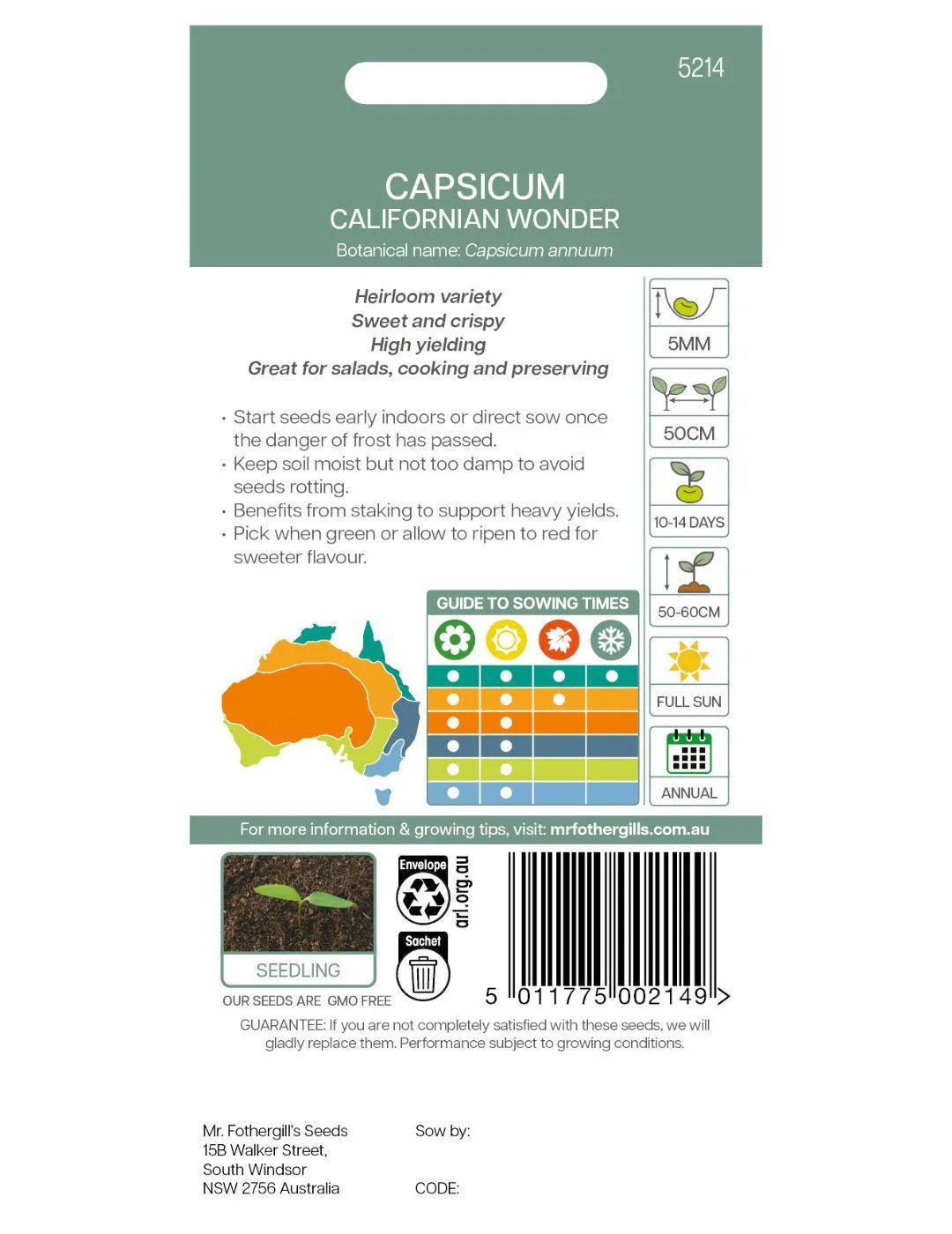 California Wonder Capsicum Seeds - Image 3