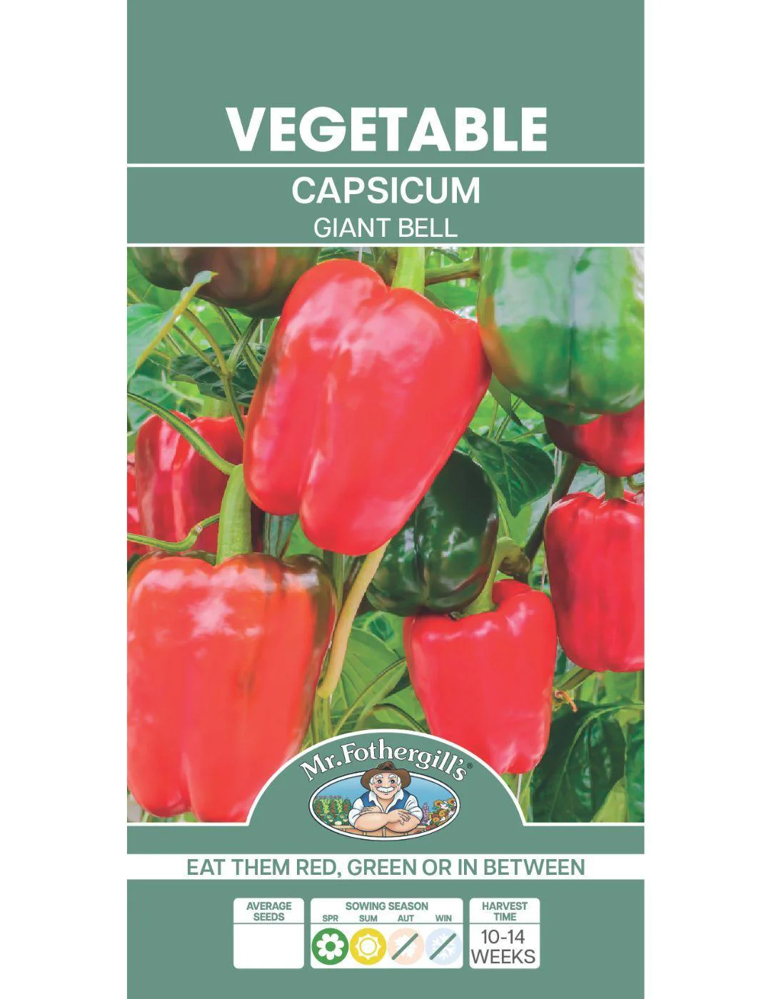 Capsicum Giant Bell - Image 2