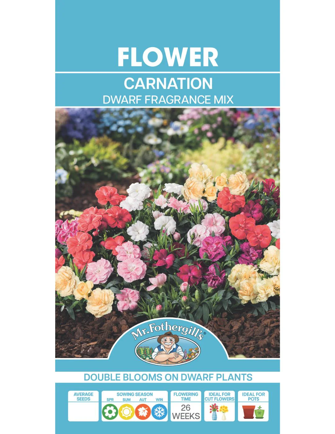 Carnation Dwarf Fragrance - Image 2