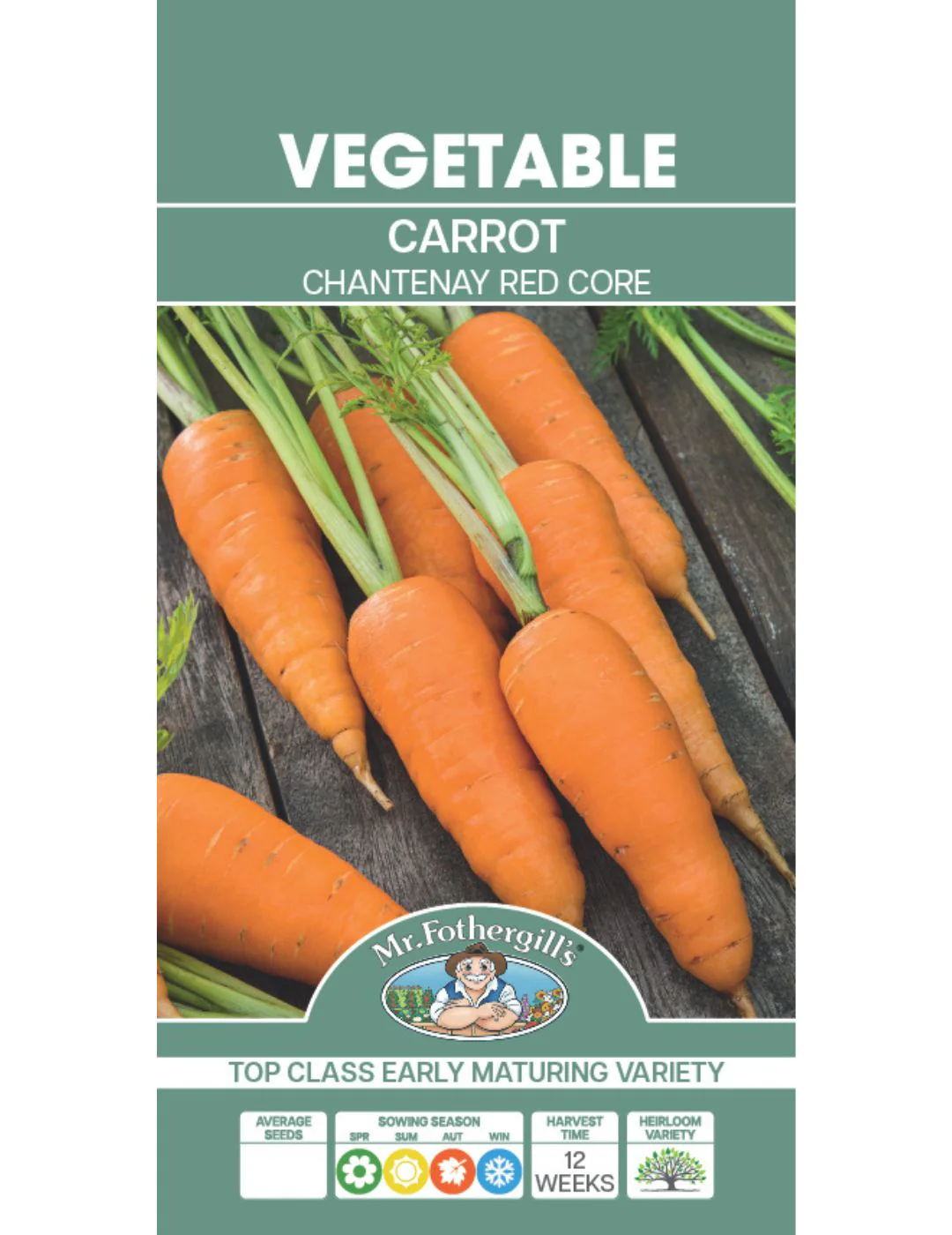 Chantenay Red Core Carrot Seeds - Image 2
