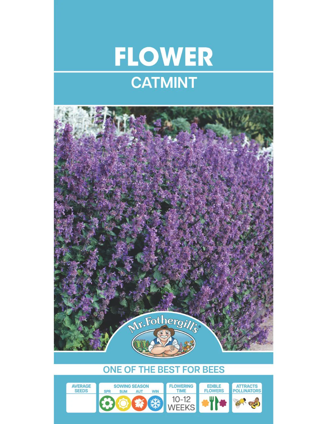 Catmint - Image 2