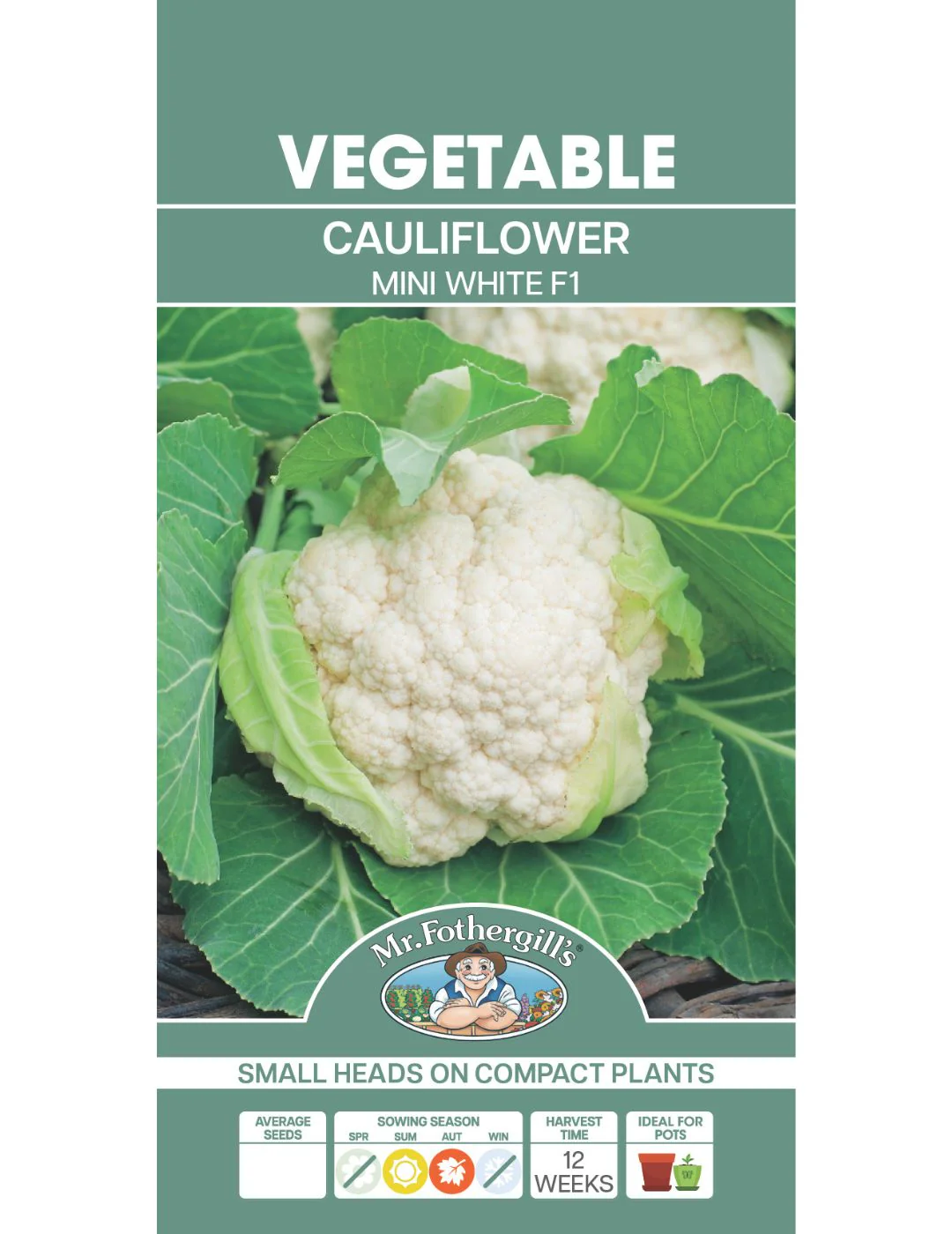 Mini White F1 Cauliflower Seeds - Image 2