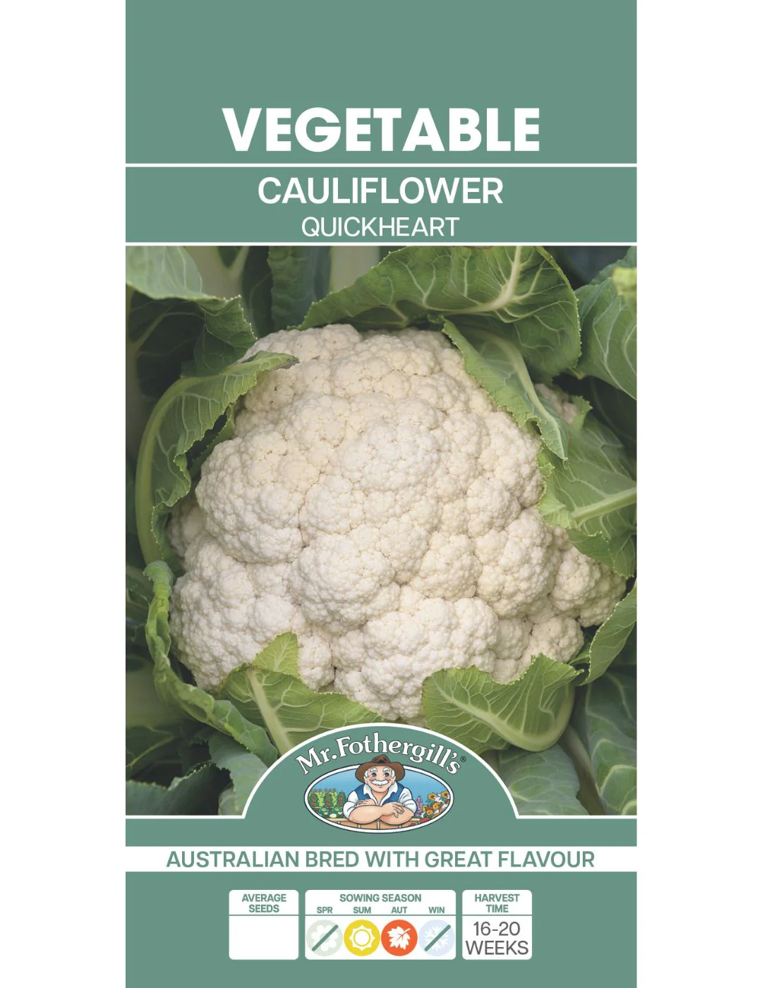 Cauliflower Quickheart - Image 2