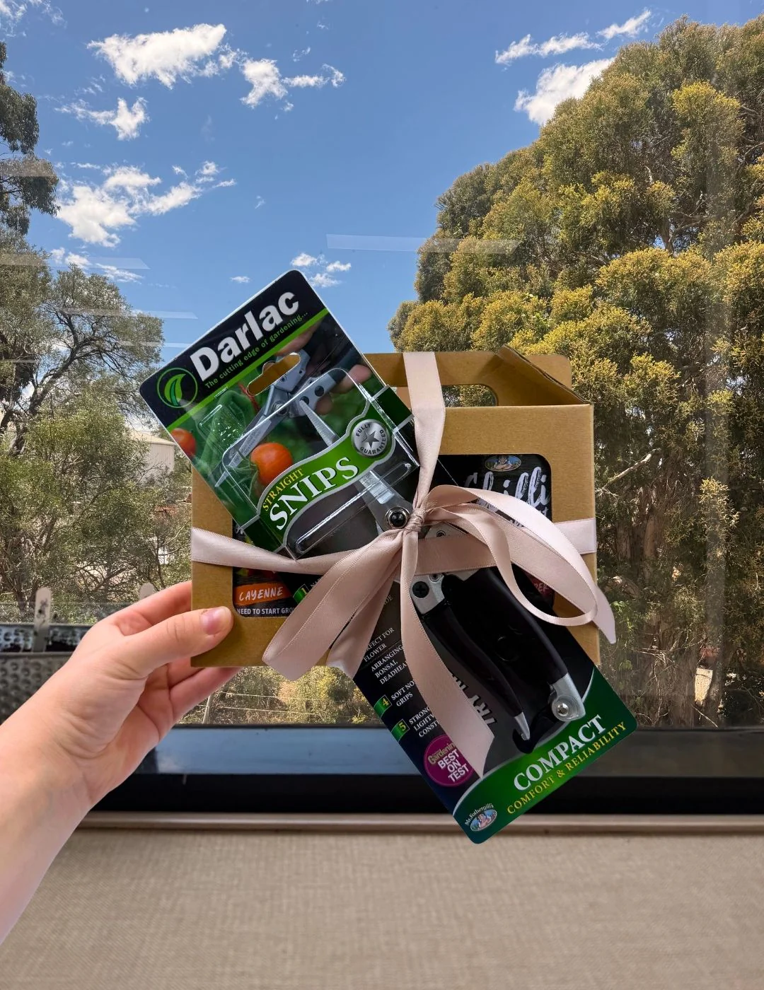 Chilli Cans Gifting Bundle - Image 2