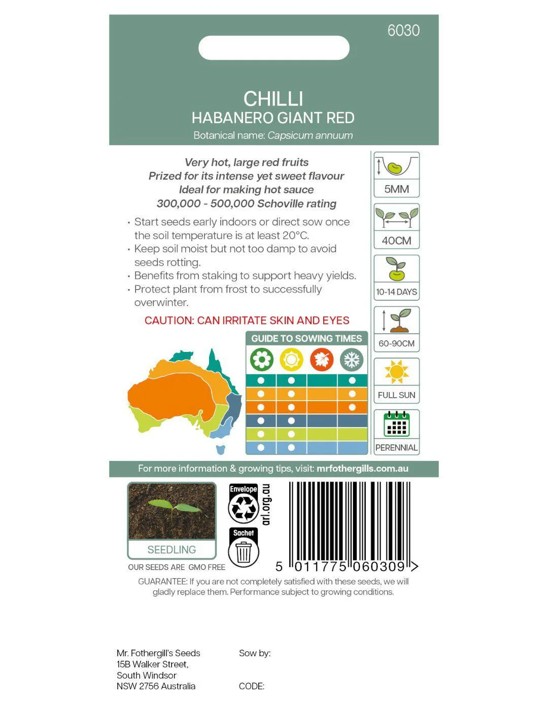 Chilli Habanero Giant Red - Image 3