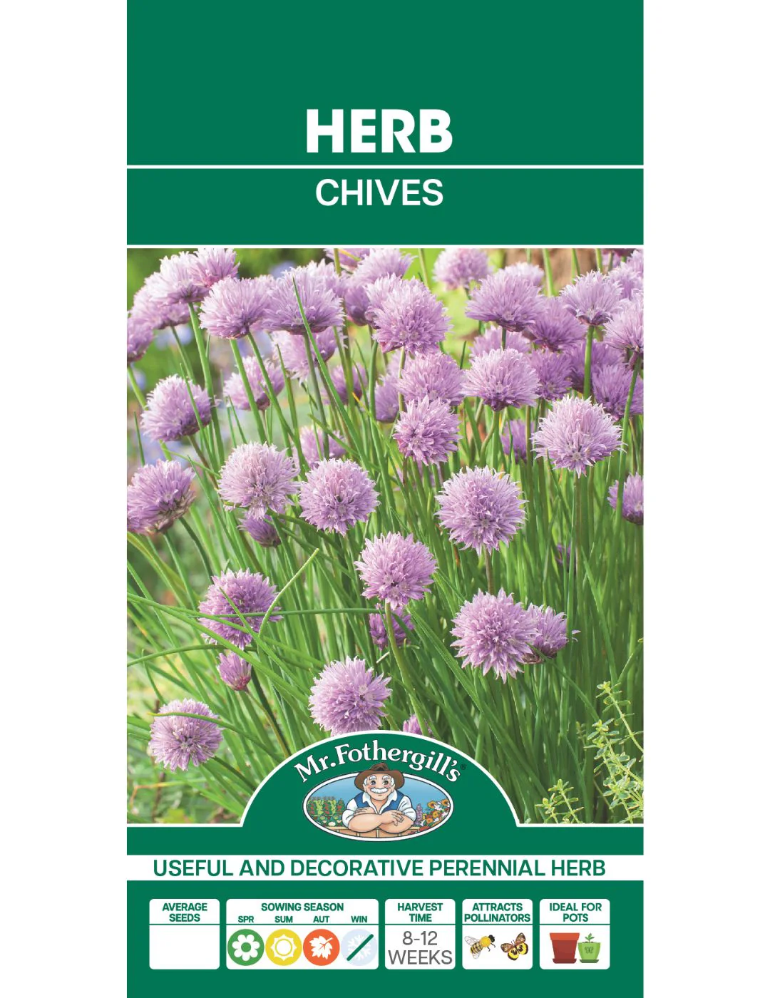 Chives - Image 2