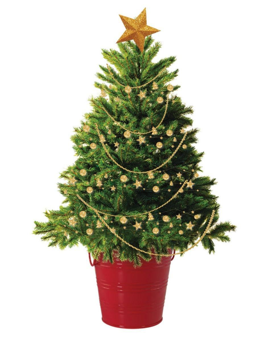 Christmas Tree - Round Grow Kit Tin - Image 3