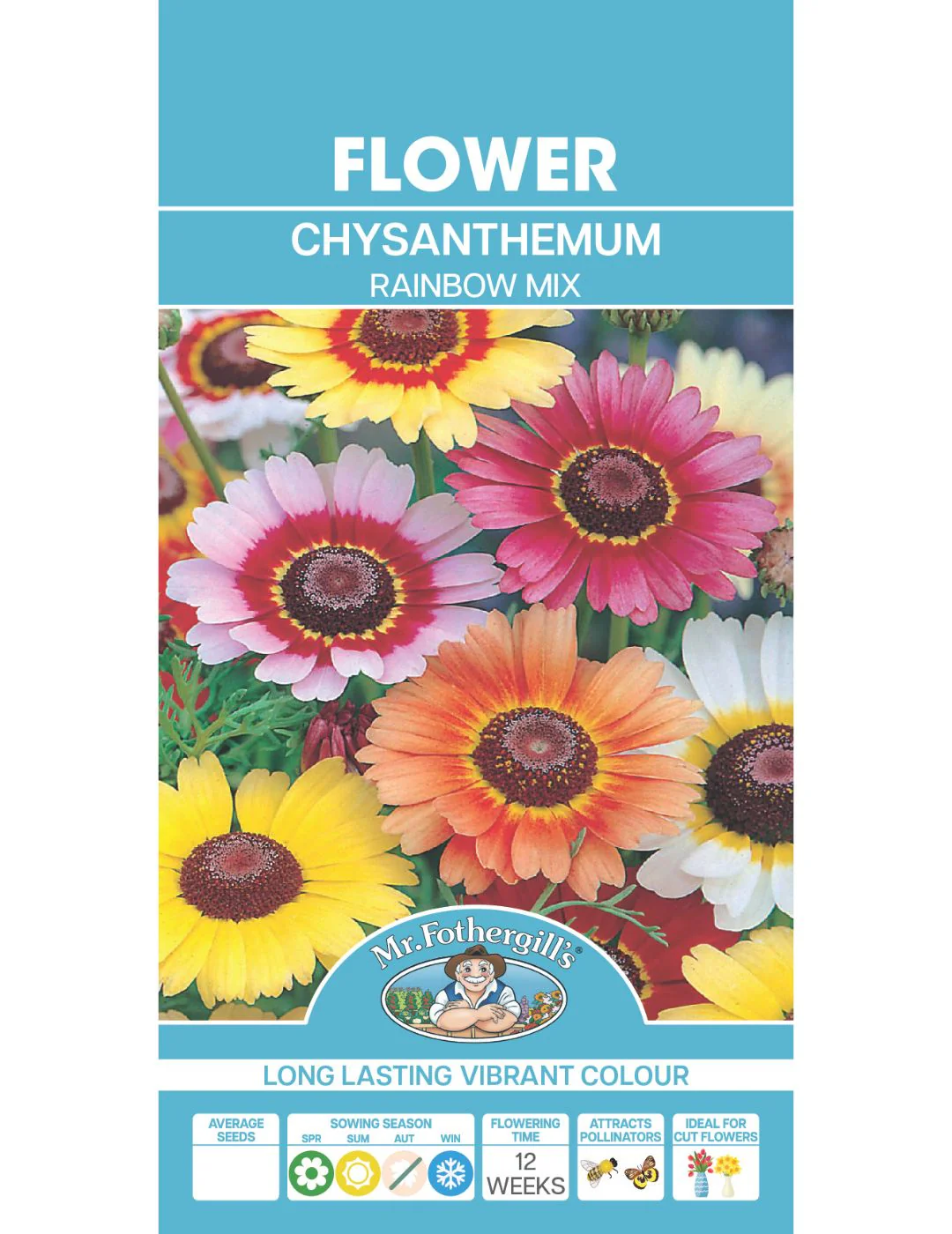 Chrysanthemum Rainbow Mix - Image 2