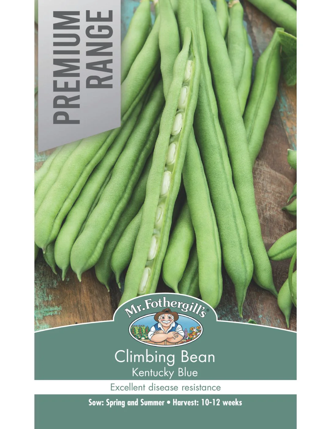 Climbing Bean Kentucky Blue - Image 2