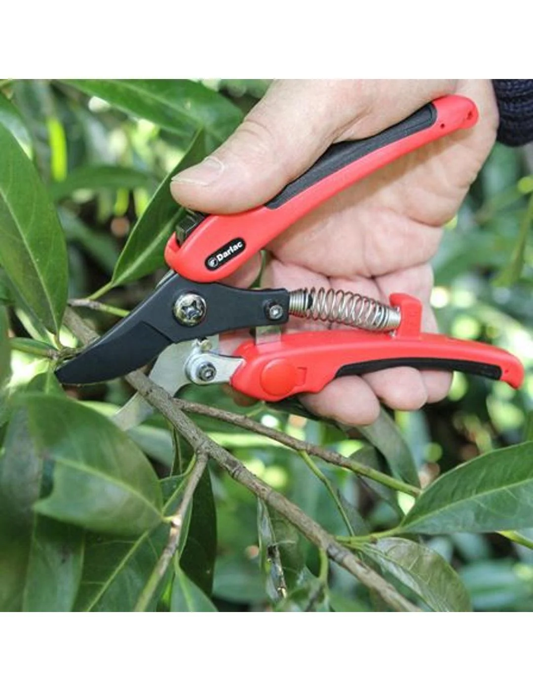 Darlac Compound Action Bypass Pruner Secateurs - Image 2