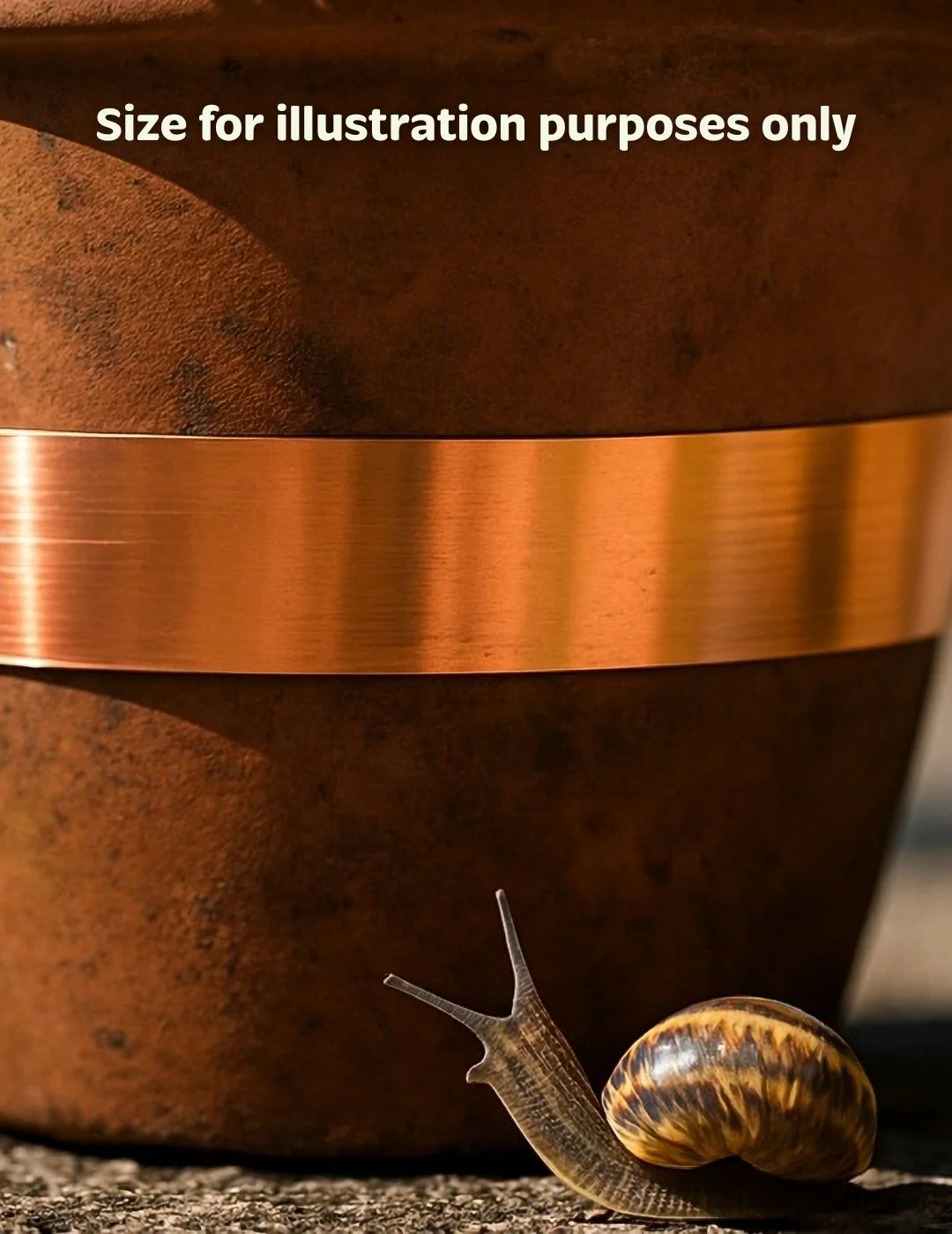 Snail & Slug Copper Tape - Image 4