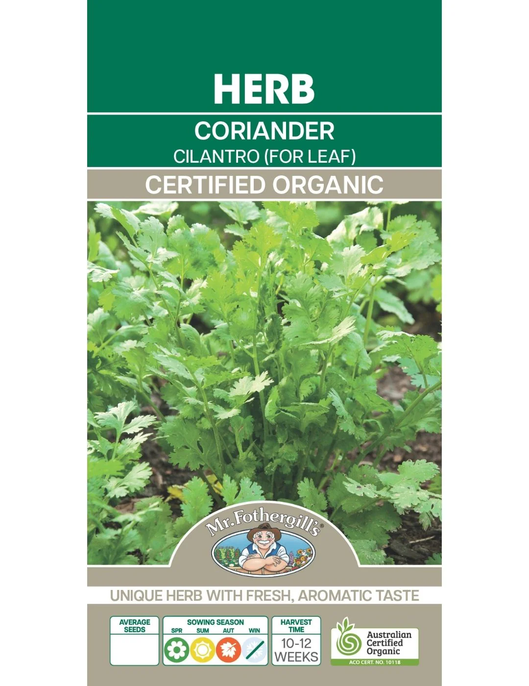 Coriander For Leaf ORGANIC - Image 2