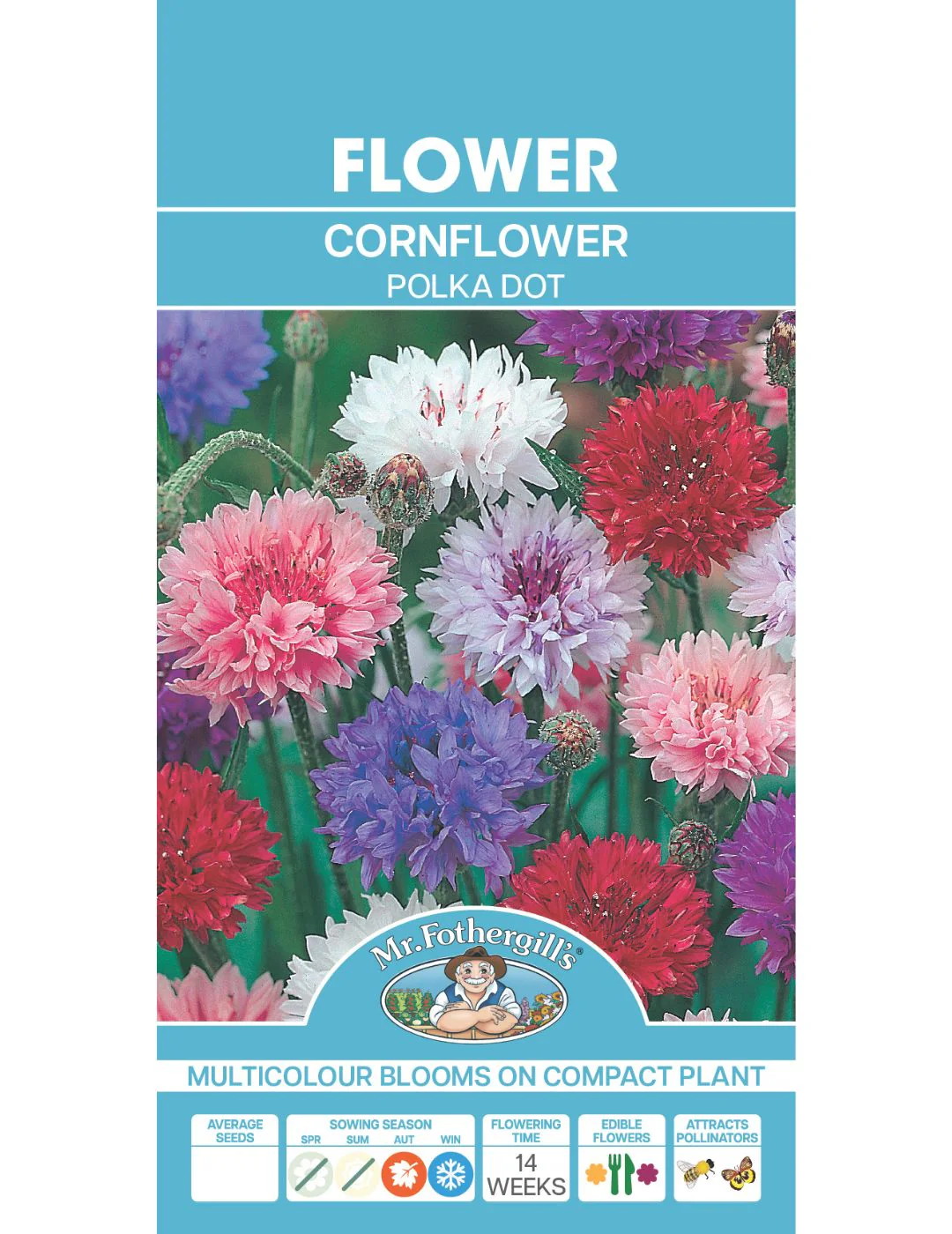 Cornflower Polka Dot - Image 2