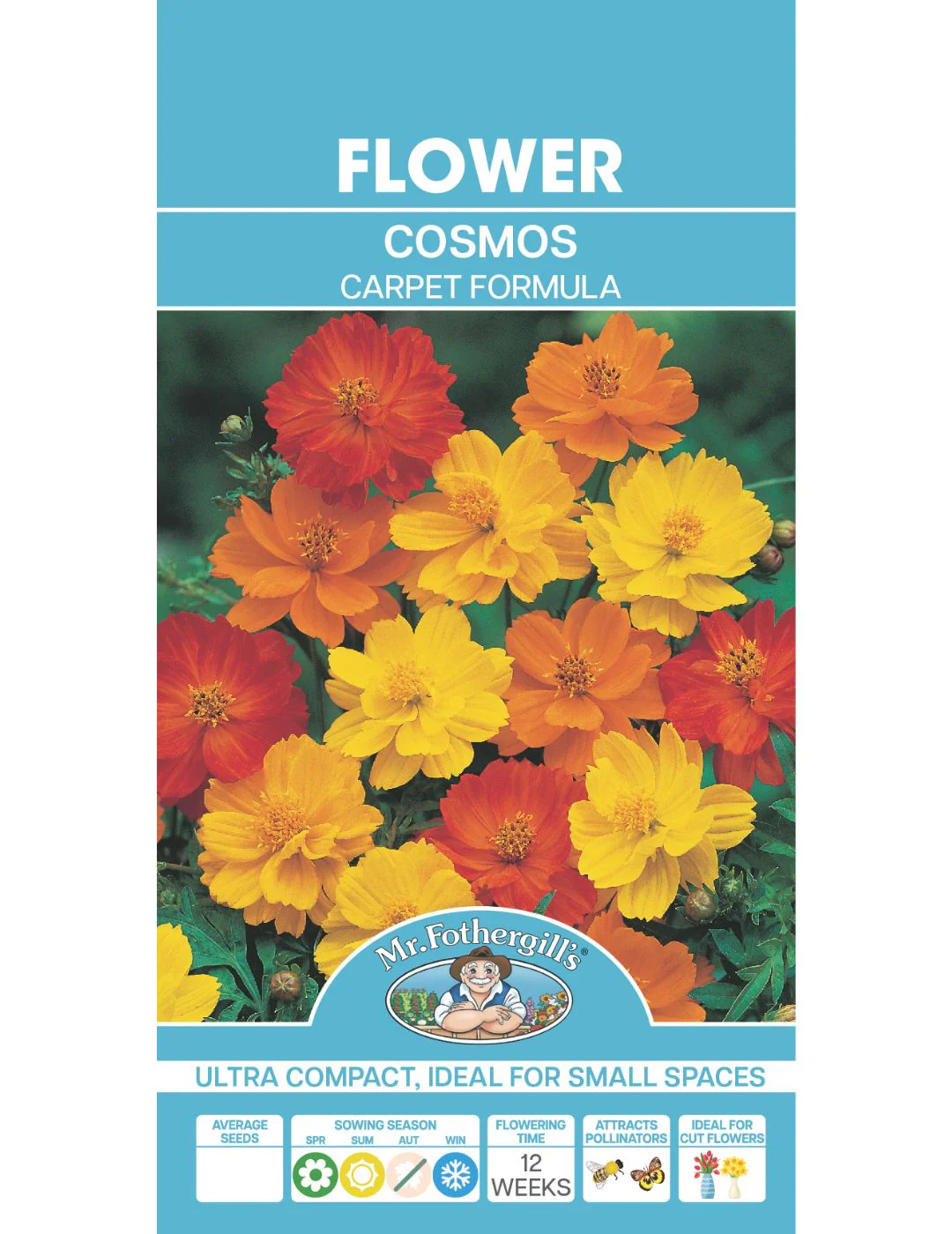 Cosmos Carpet Formula - Image 2