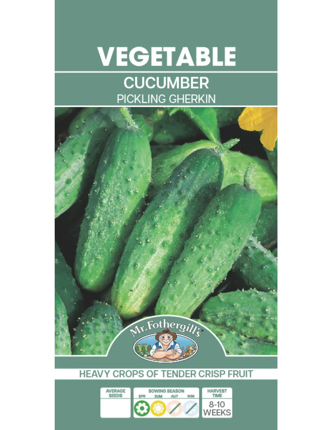 Cucumber Pickling Gherkin Seeds - Image 2