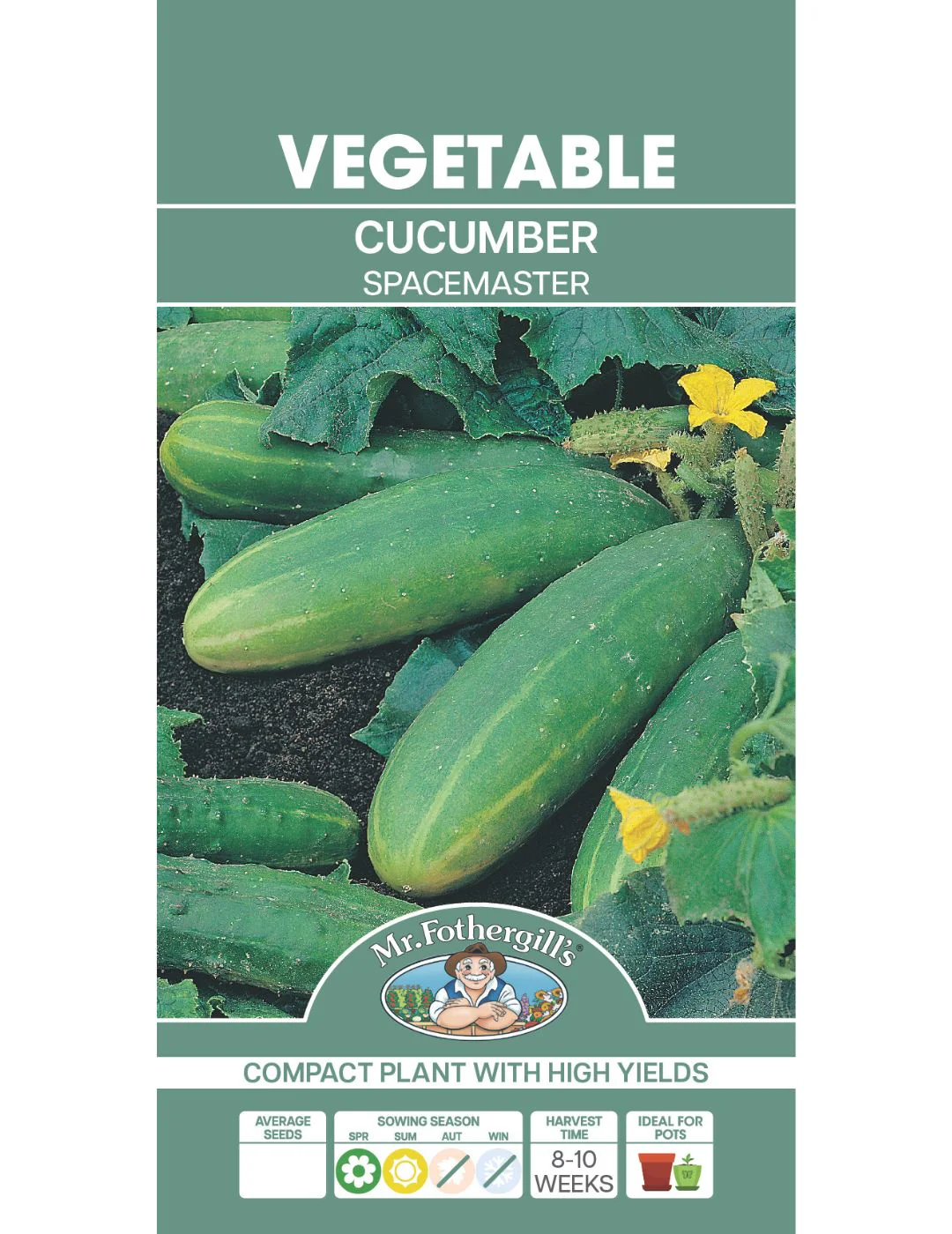 Cucumber Spacemaster Container Garden - Image 2