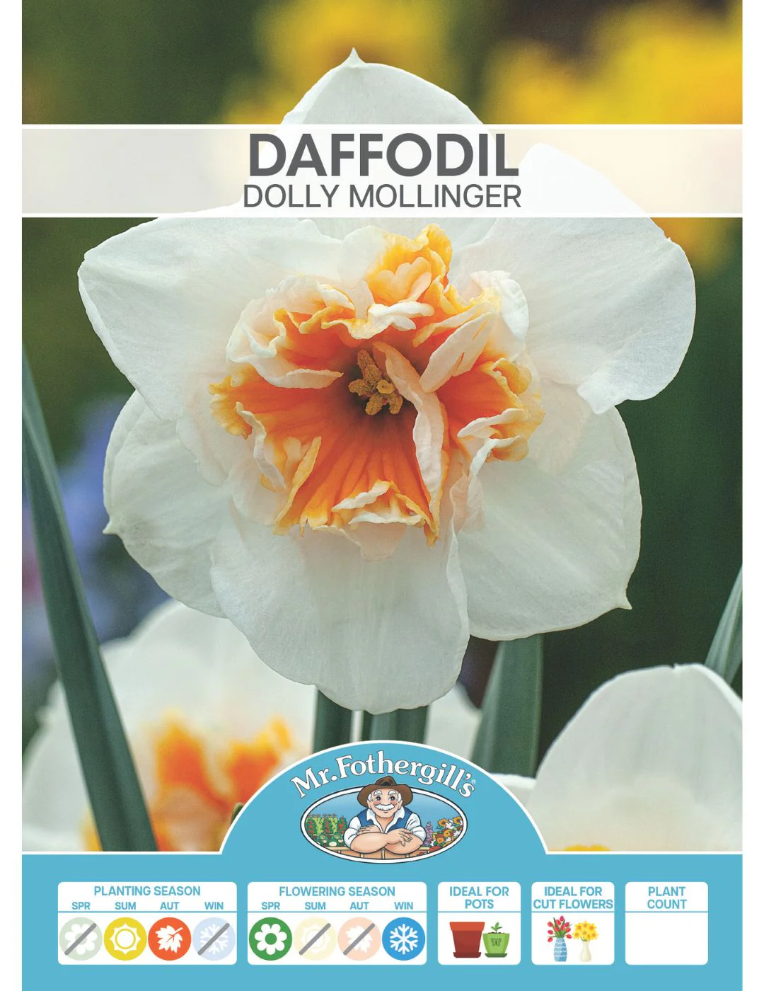 Daffodil Dolly Mollinger - Image 2