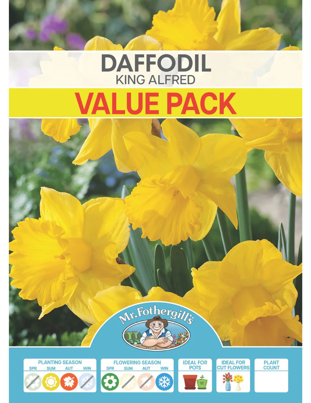Daffodil King Alfred Value Pack - Image 2