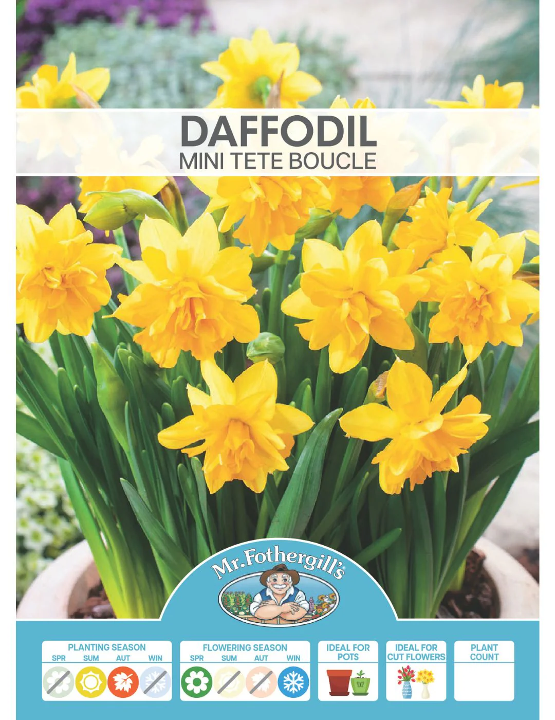 Daffodil Mini Tete Boucle - Image 2