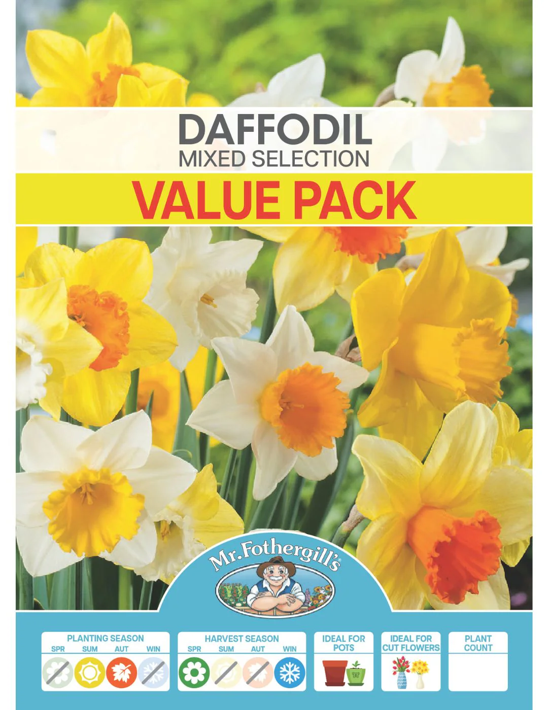 Daffodil Mixed Value Pack - Image 2