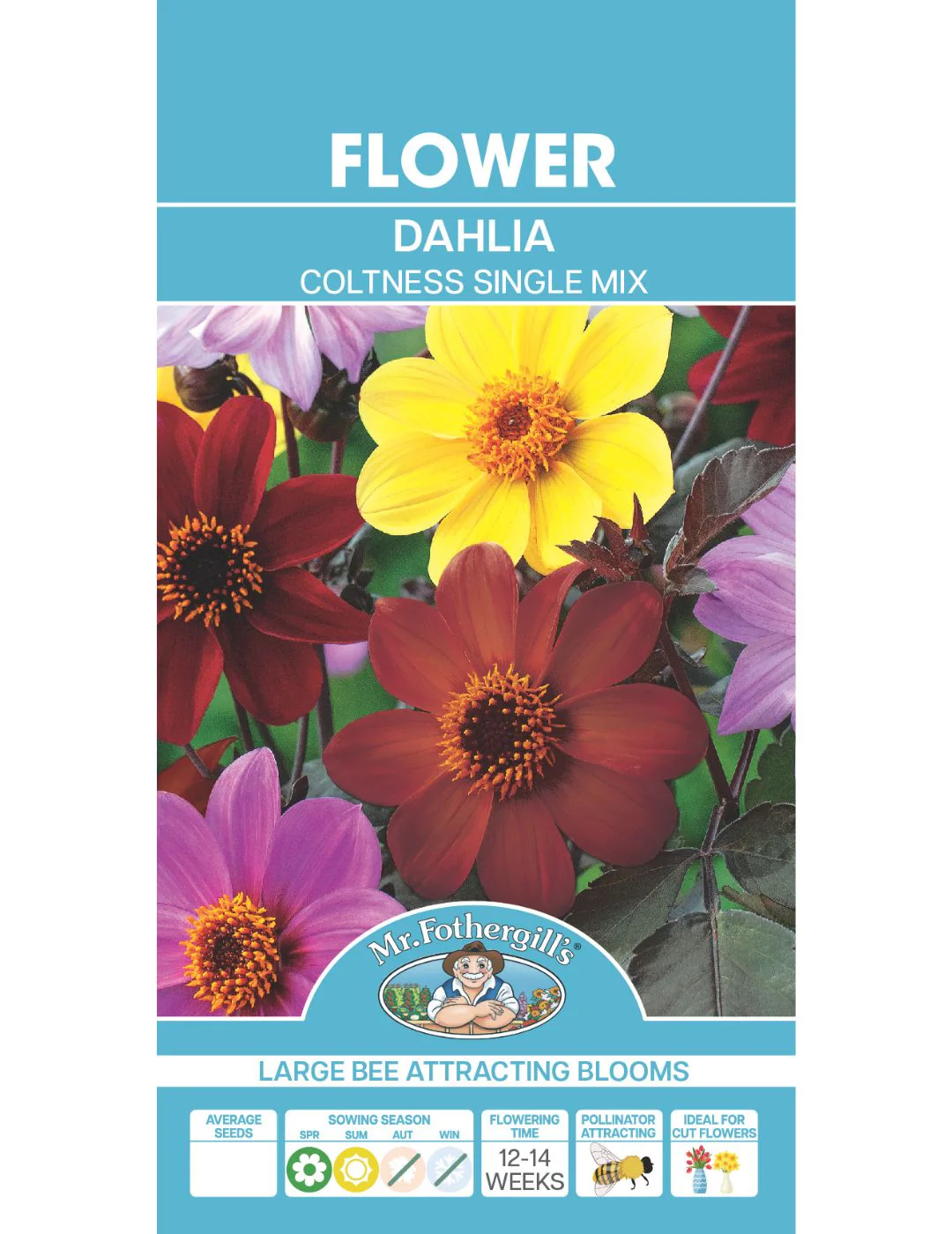 Dahlia Coltness Single Mix (Seeds) - Image 2