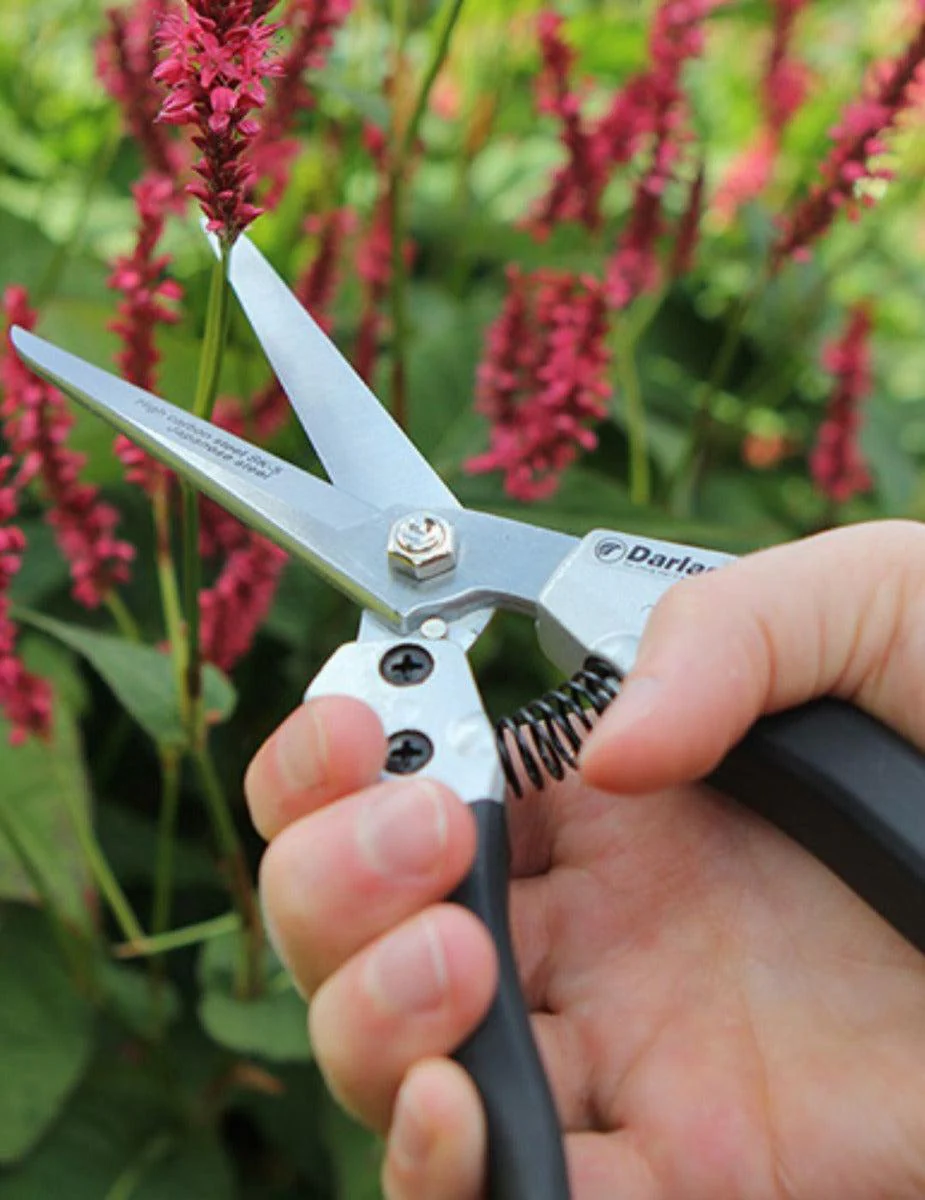 Darlac Compact Shears - Image 2