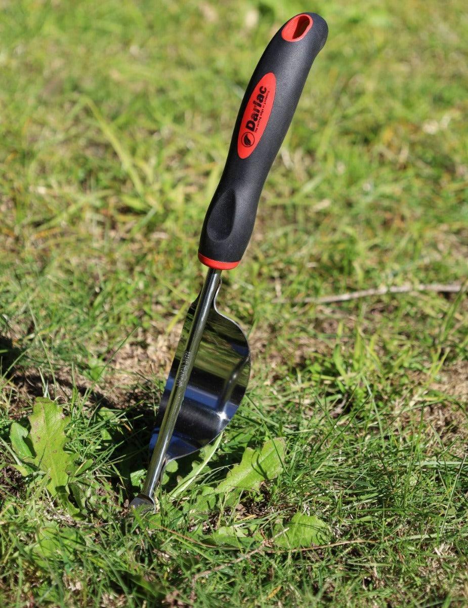 Darlac Stainless Steel Hand Weeder - Image 2