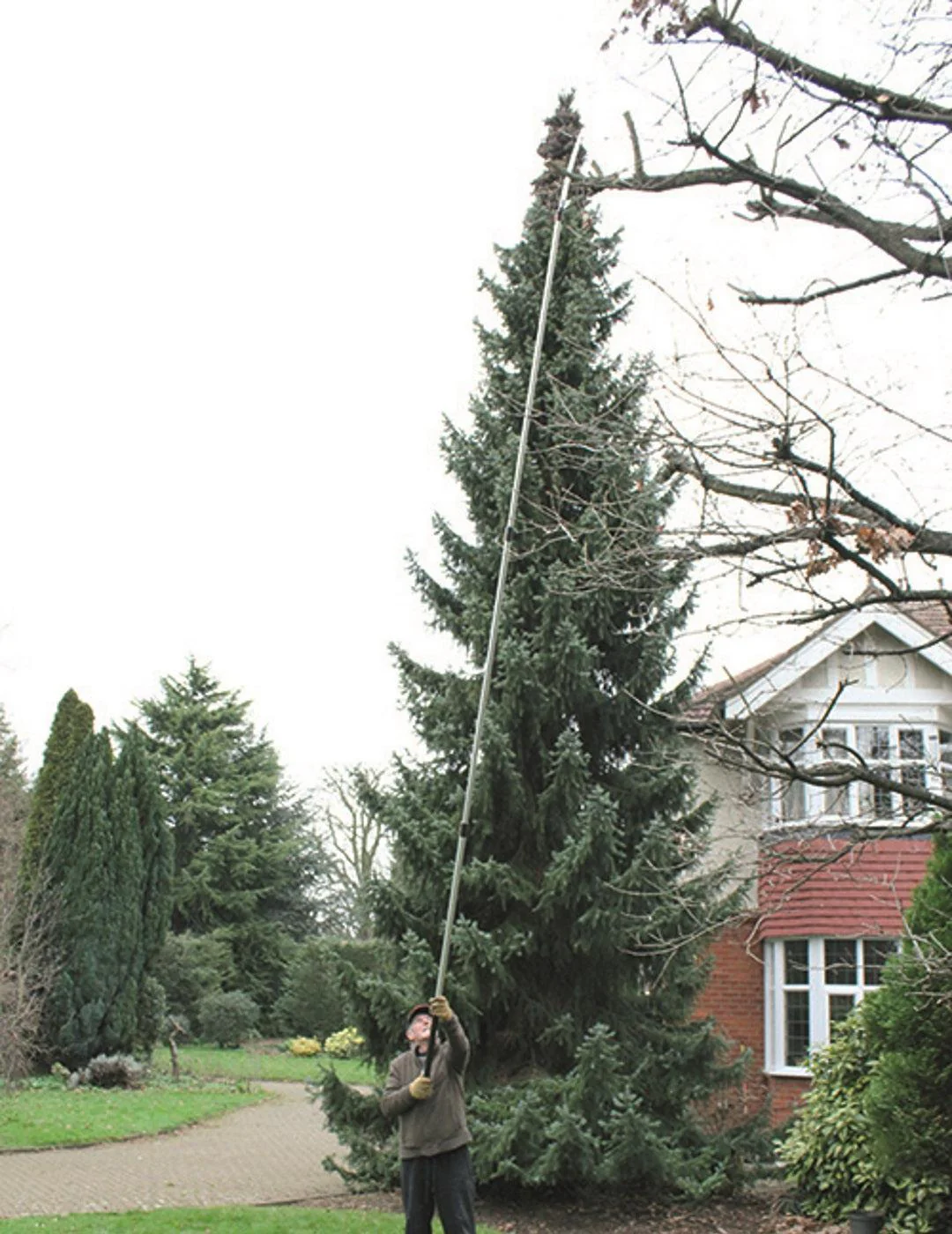 Darlac Expert Giant Telescopic Pole - Image 2