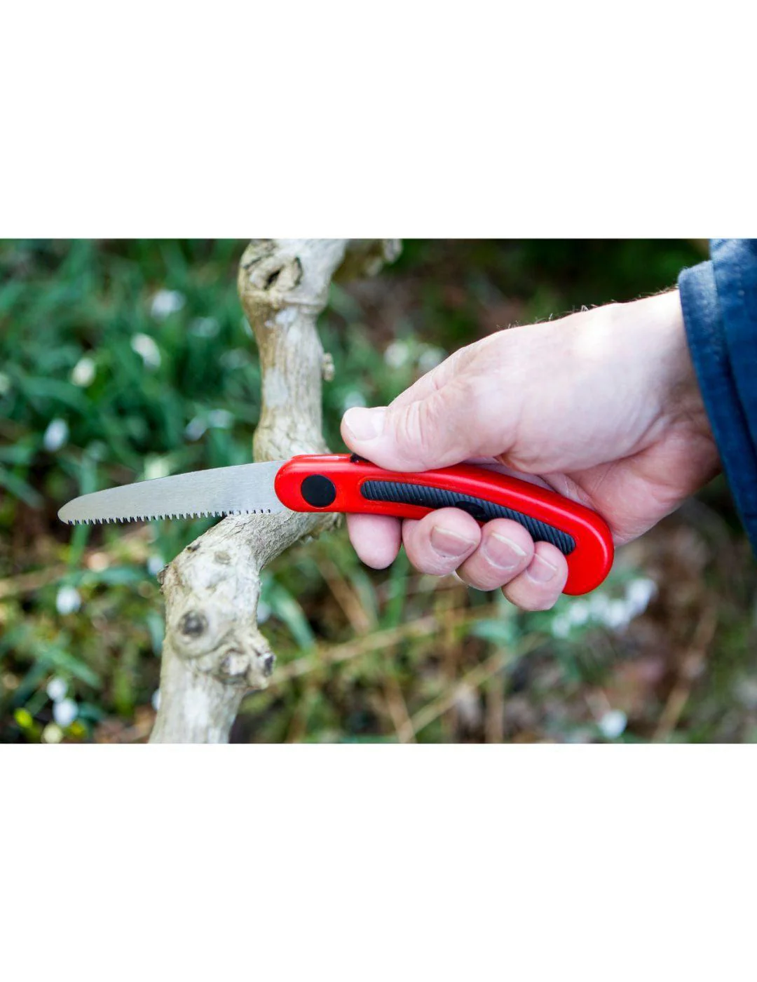 Darlac Pocket Mini Folding Saw - Image 2