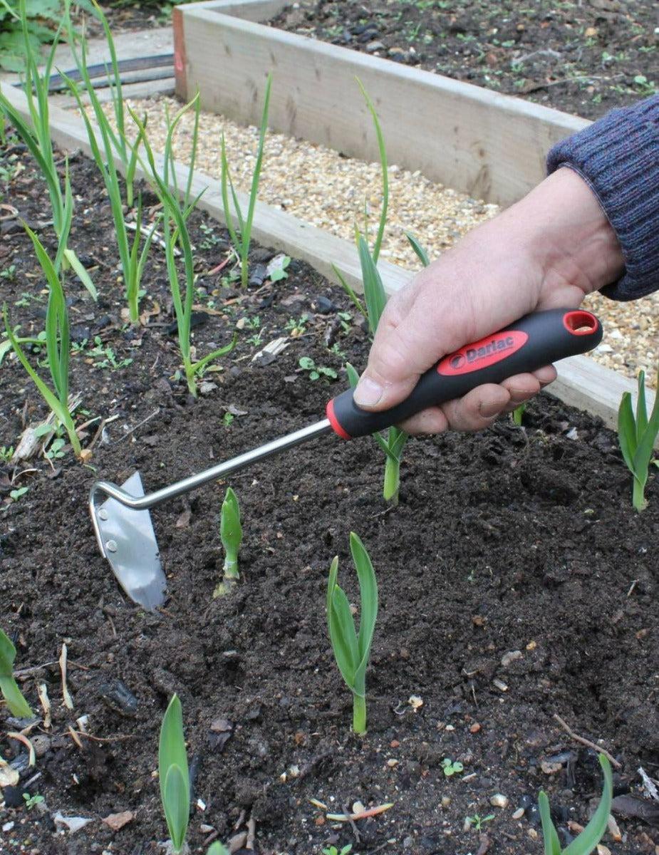 Darlac Stainless Steel Onion Hoe - Image 2