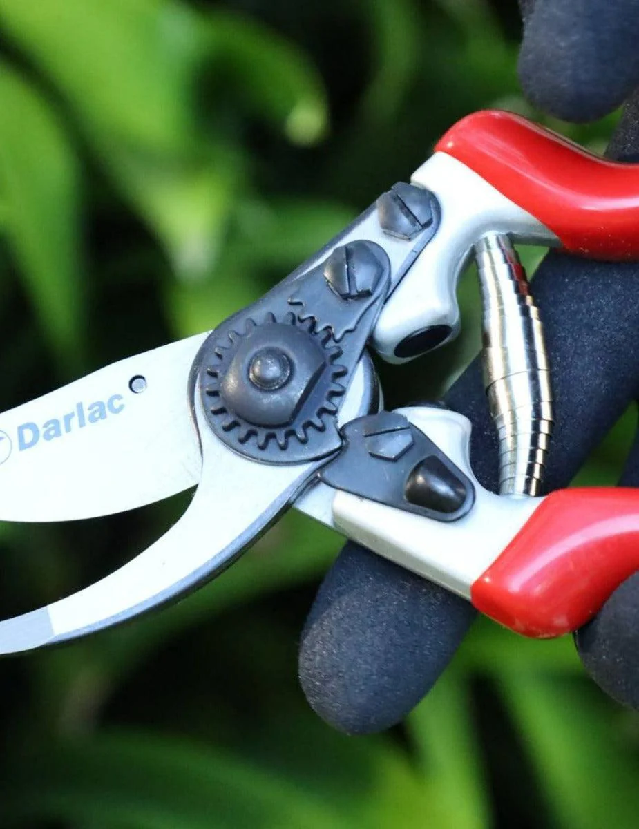 Darlac Replacement Spring Set - Image 3