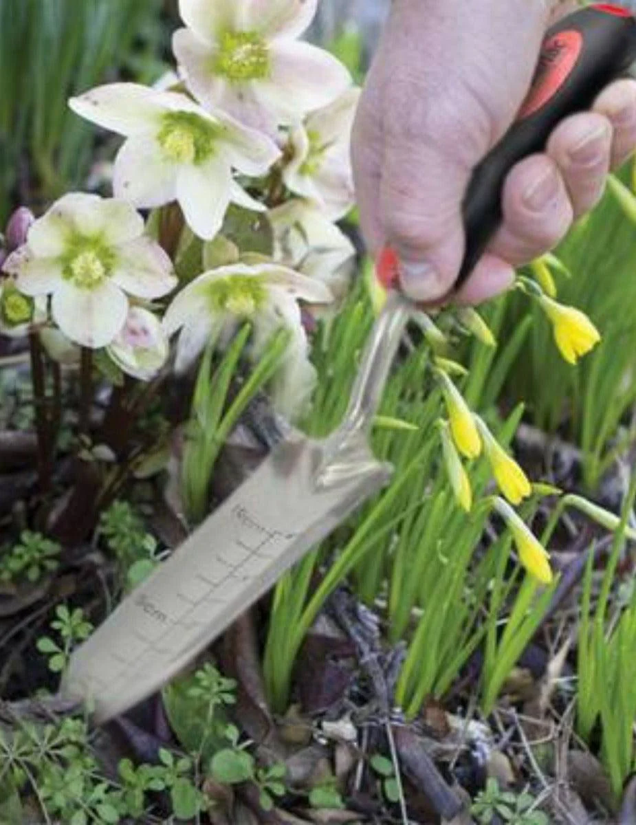 Darlac Stainless Steel Rockery Trowel - Image 2